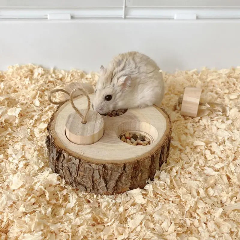 Hamster Foraging Toy – Wooden Treat Dispenser & Enrichment Plaything