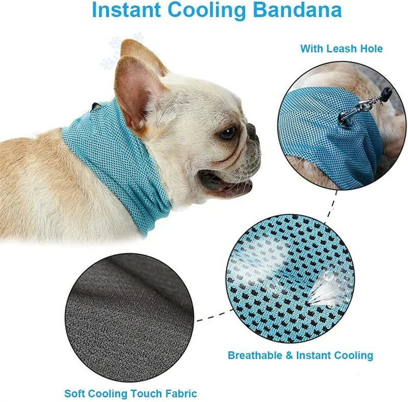 Reusable Instant Cooling Bandana with Leash Hole Prevent Heat Stroke Outdoor Breathable Pet Scarf