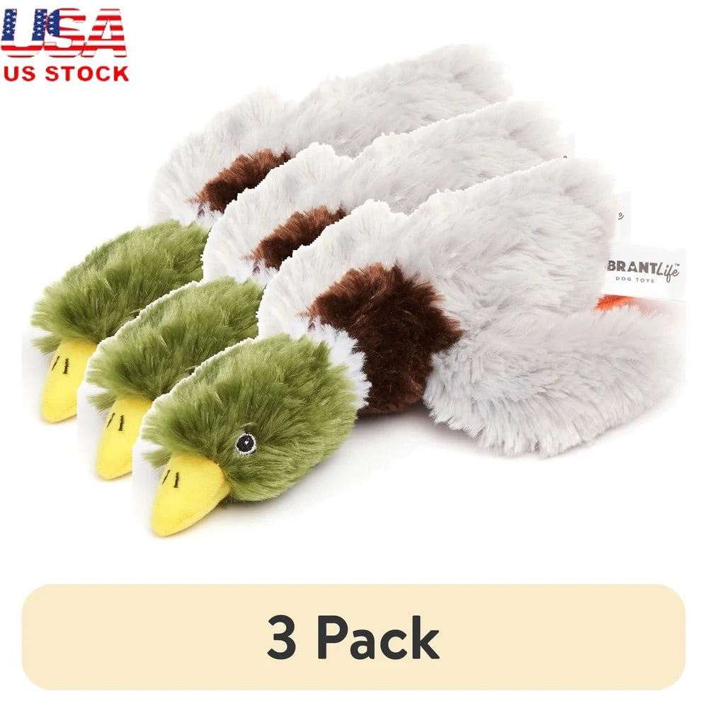 3 Pack Squeaky Mallard Duck Dog Toy