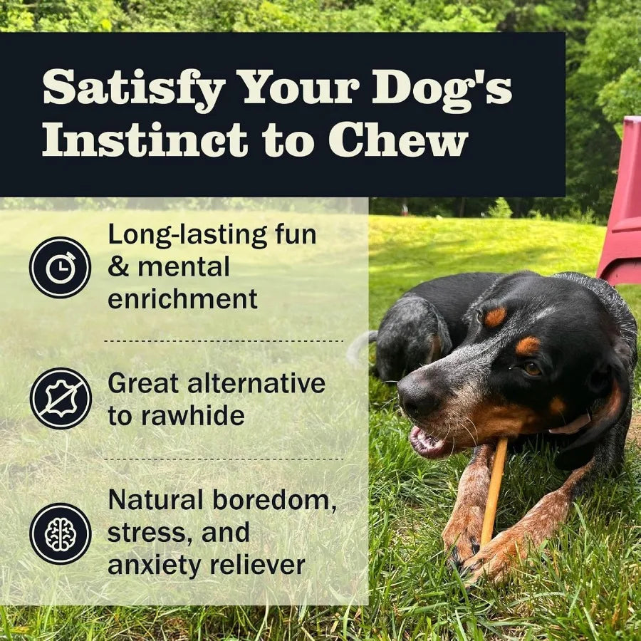 All Natural Bully Sticks for Small Large Dogs Healthy Long Lasting Chews Variety Party Pack