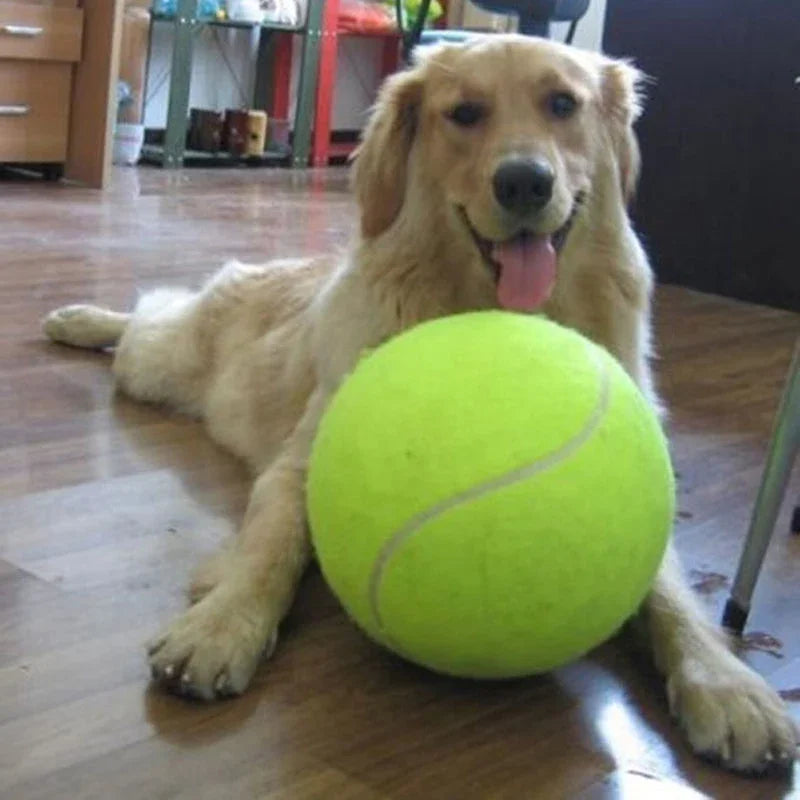 9.5'Giant Tennis Ball For Dog Chew Toy