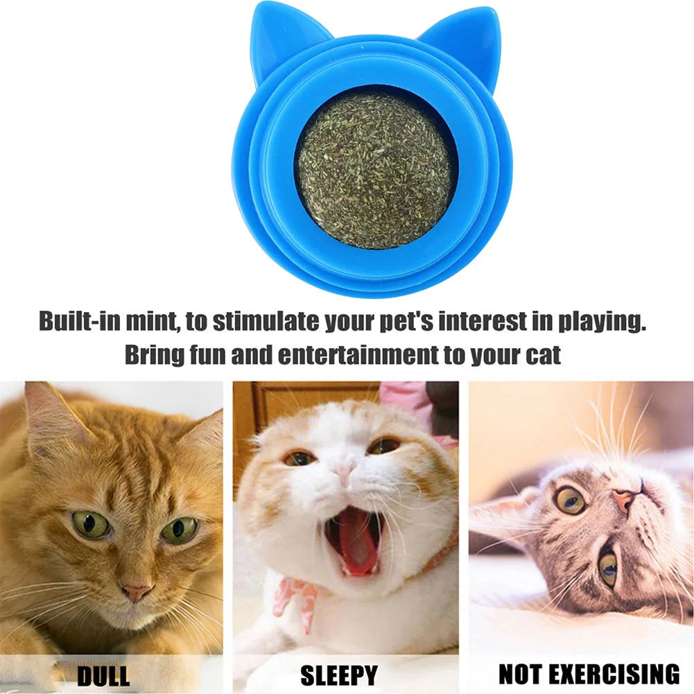 Pet Stuff Healthy Cat Catnip