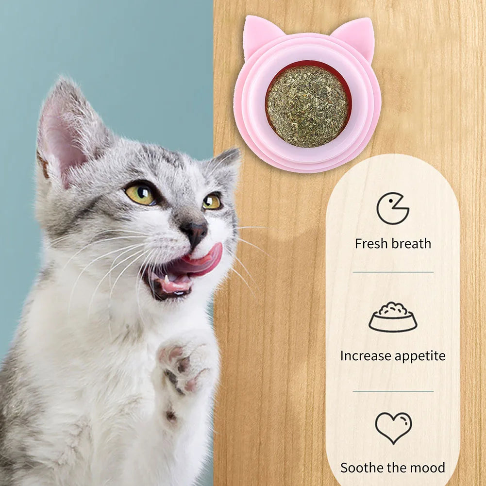 Pet Stuff Healthy Cat Catnip