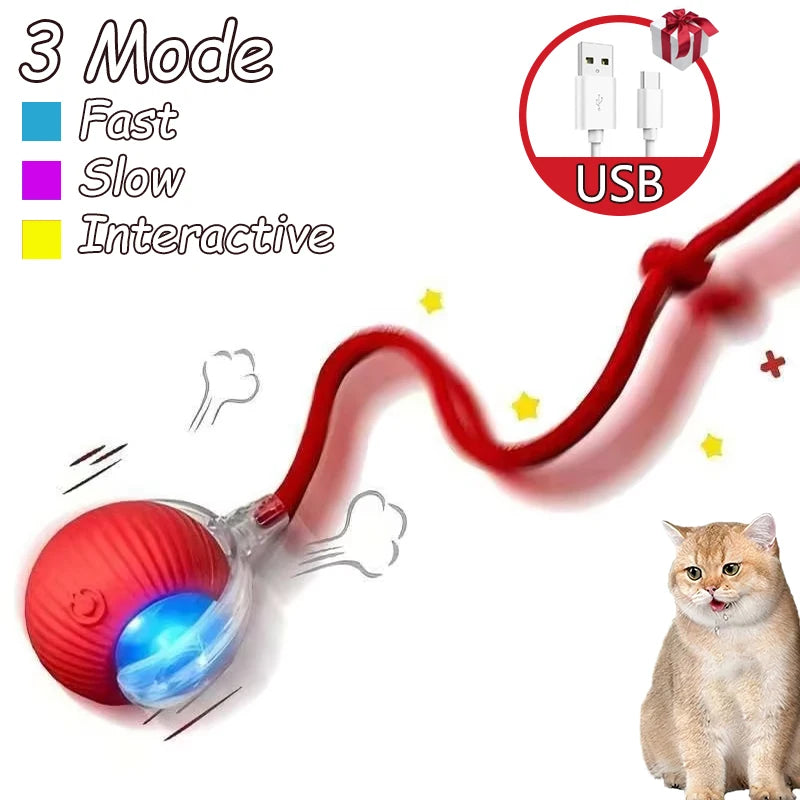 2Pcs Cat Interactive Ball Toys Automatic Rolling Ball Faux Tail Rechargeable Smart Pet Electric Toy Cat Training Imitate Mouse
