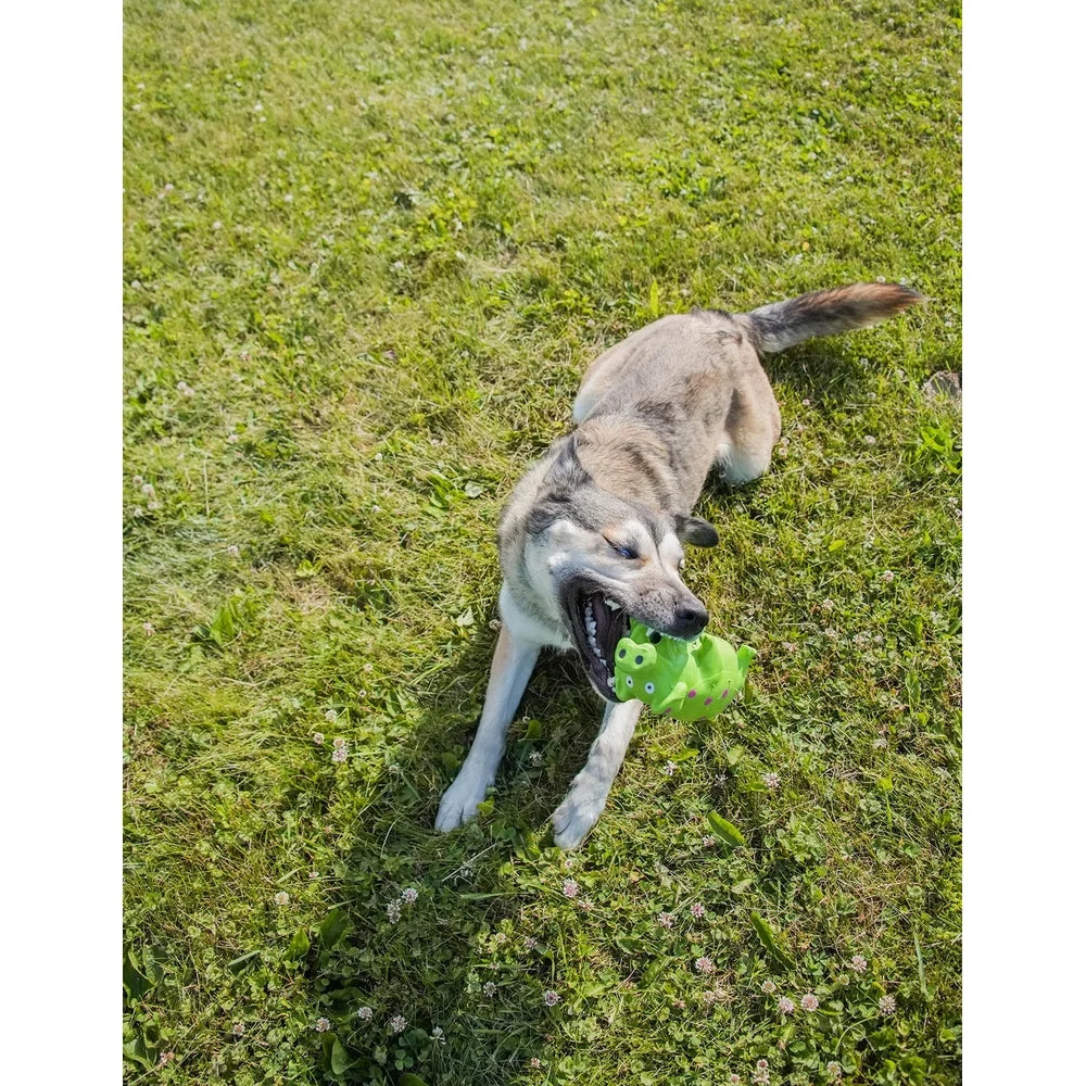 3 Pack Pig Shaped Latex Dog Toy Chew Level 1 Plush Fiber Filling Squeaker Grunting Sound Assorted Colors