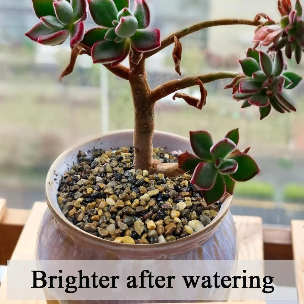 5lbs Aquarium Gravel Decorative River Rocks