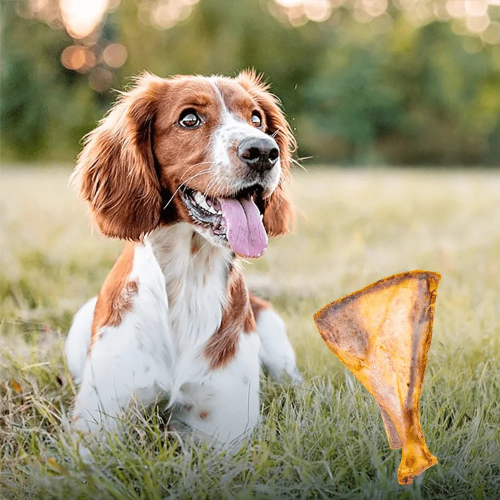 1/2 Pack x 60-90g Lamb Fan Bone, Natural Ingredients, Natural Dog Treats, Healthy, Easily Digestible, Dog Chews Long Lasting