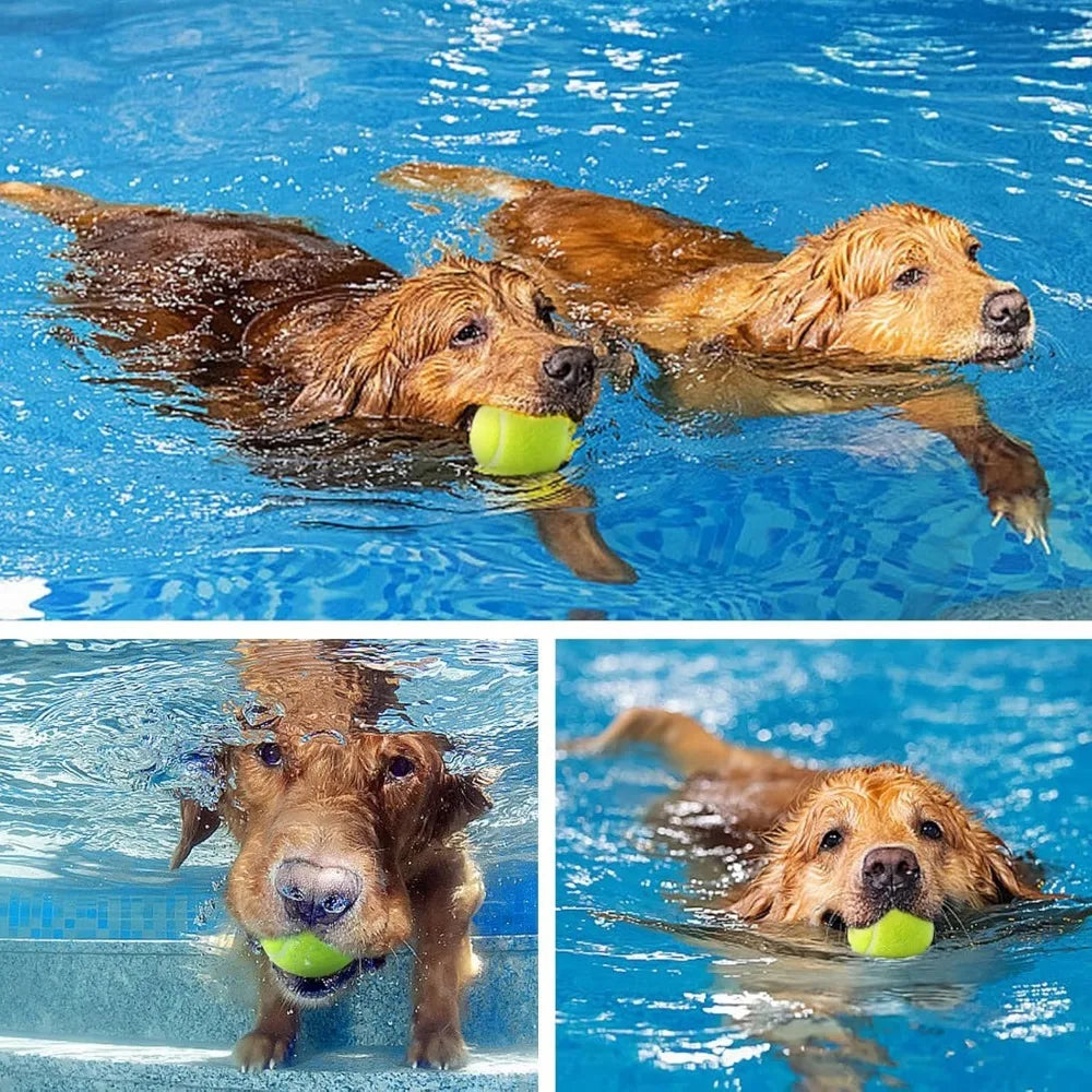 Dogs Toy Balls
