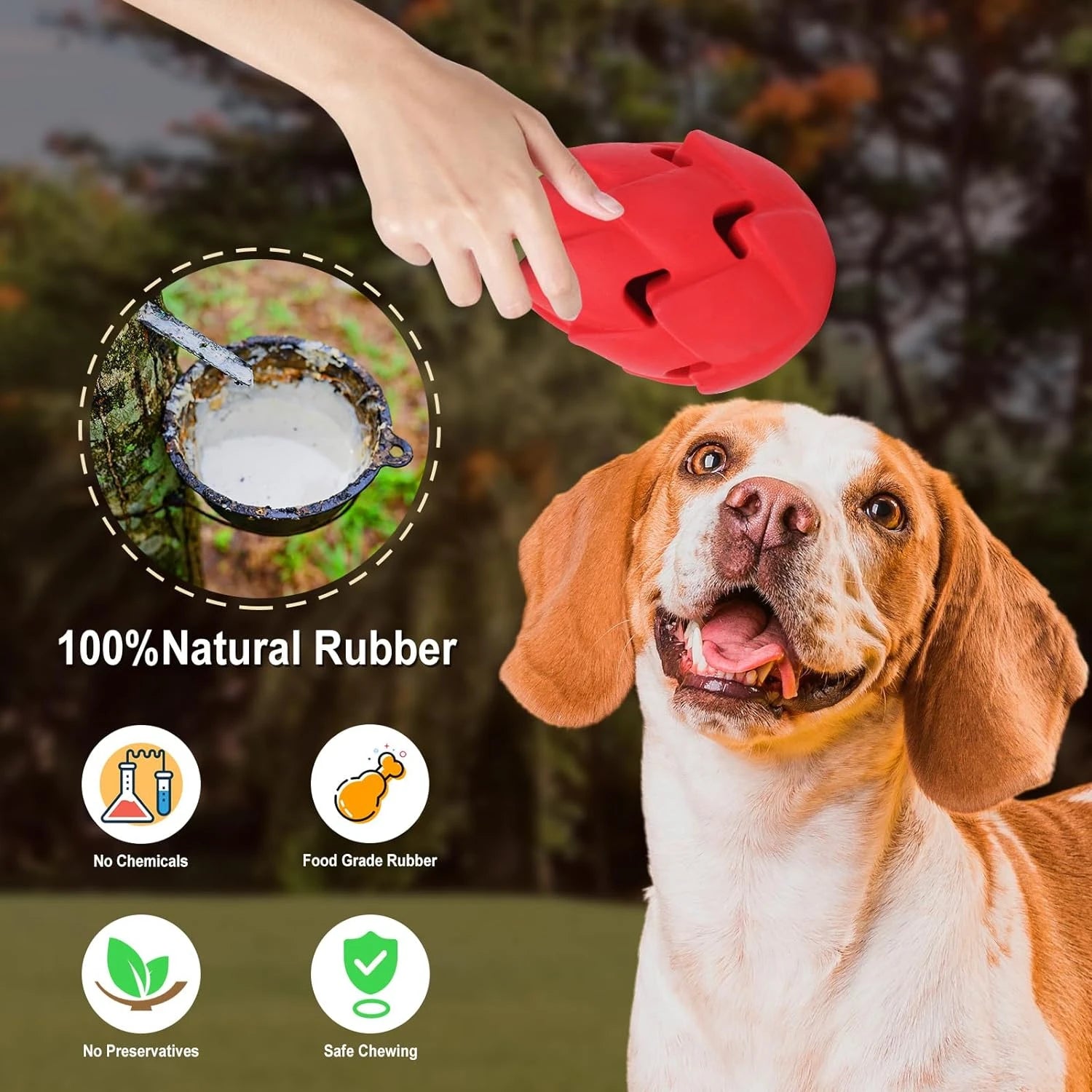 Colorful and durable dog chew toy for heavy chewers