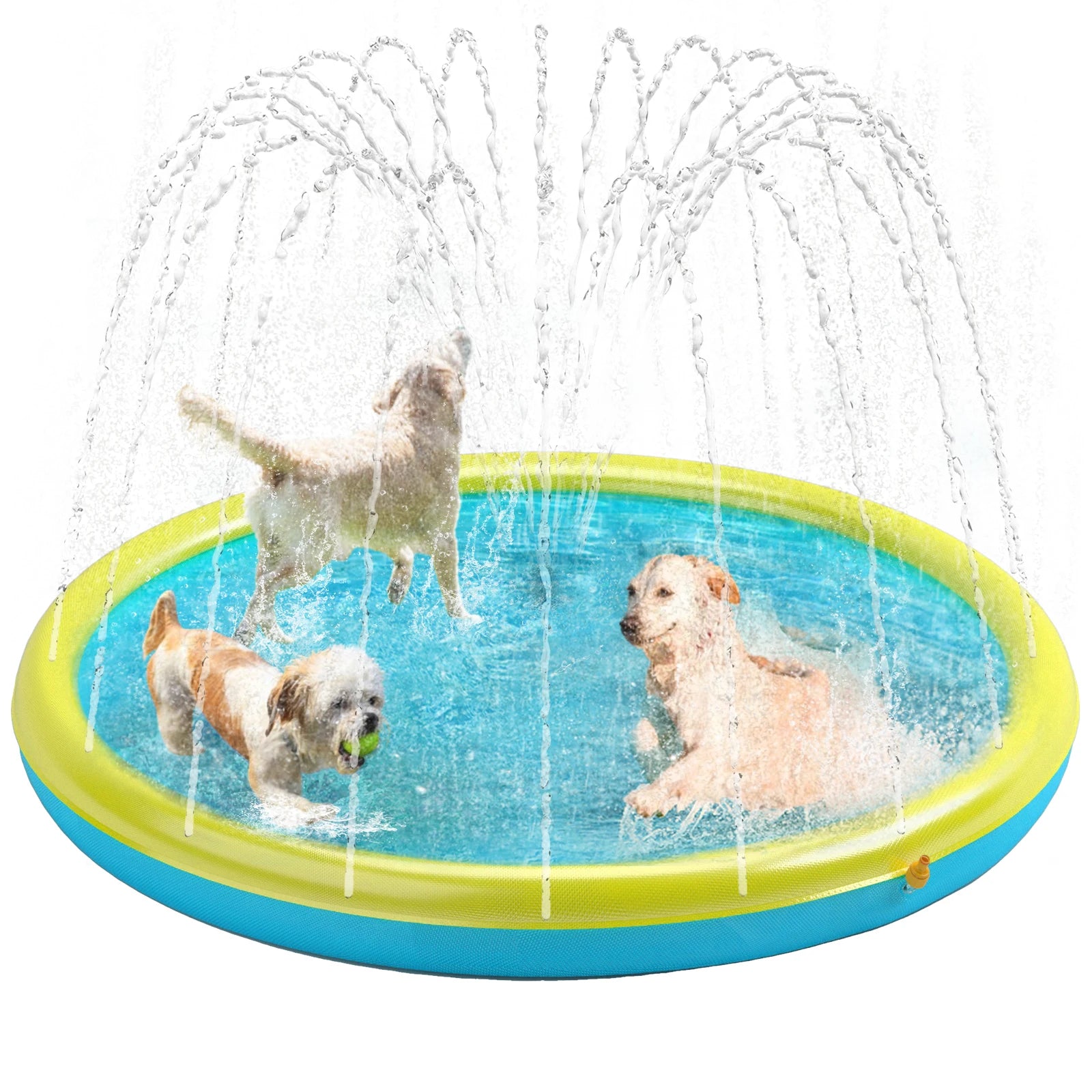 Sprinkler Pool for Dogs Outdoor Play