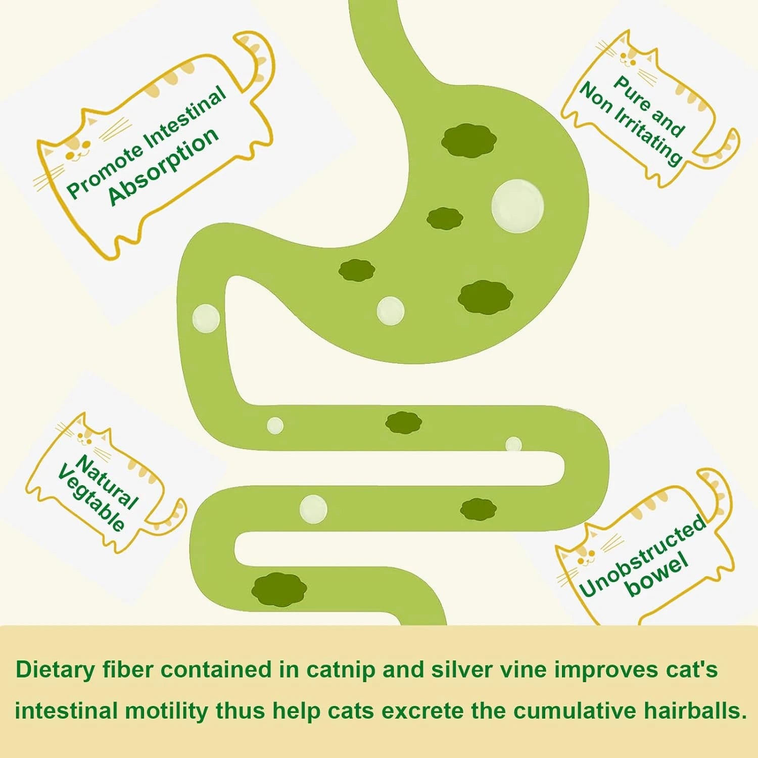 Catnip Wall Ball Toy for Kittens