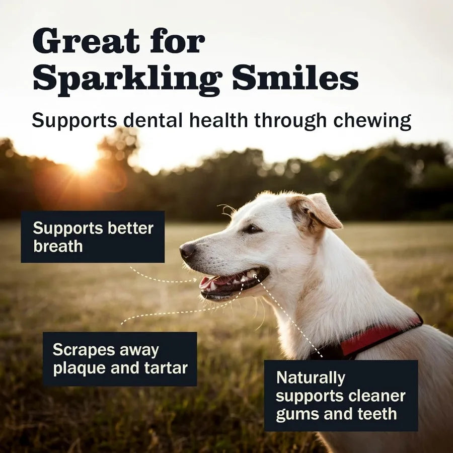 All Natural Bully Sticks for Small Large Dogs Healthy Long Lasting Chews Variety Party Pack