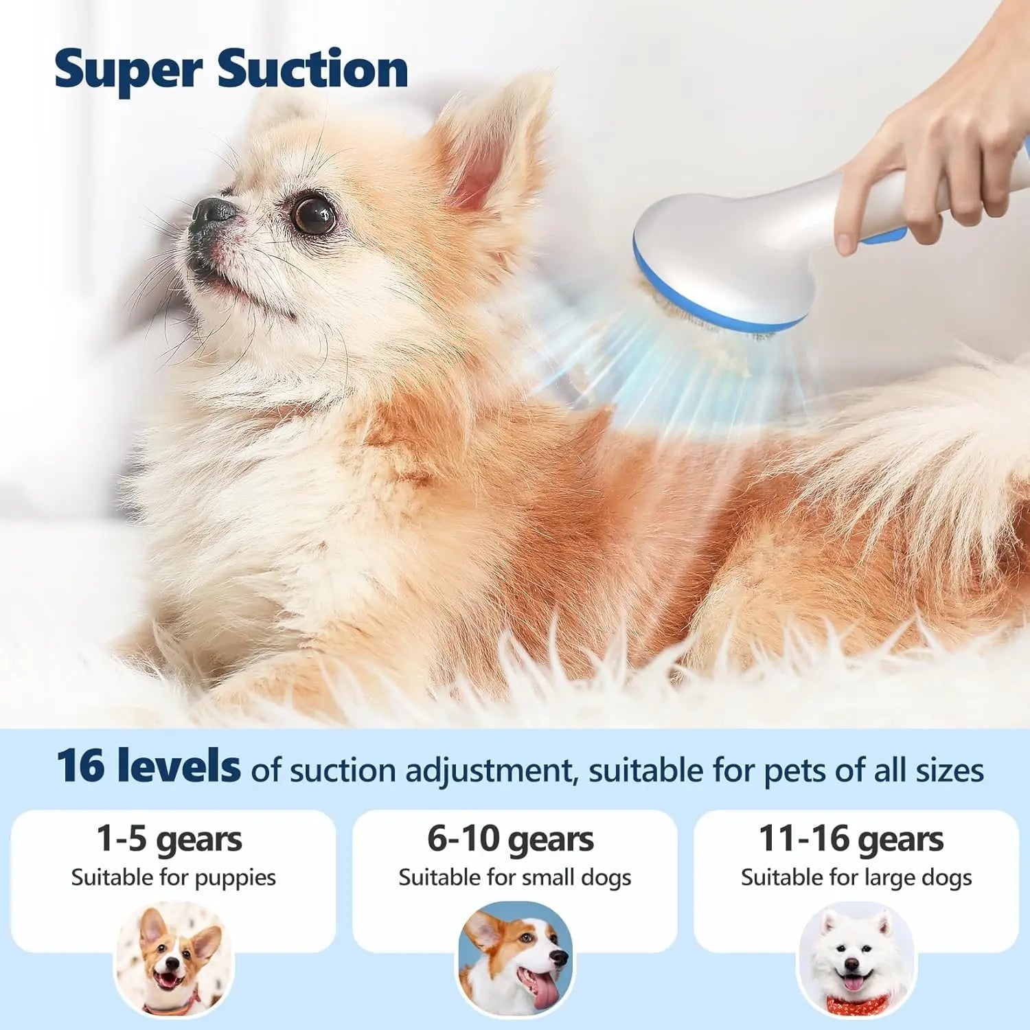 Pet Grooming Vacuum Kit 5-in-1 with 2.0L Dust Cup for Shedding Dogs/Cats, Low Noise Hair Remover