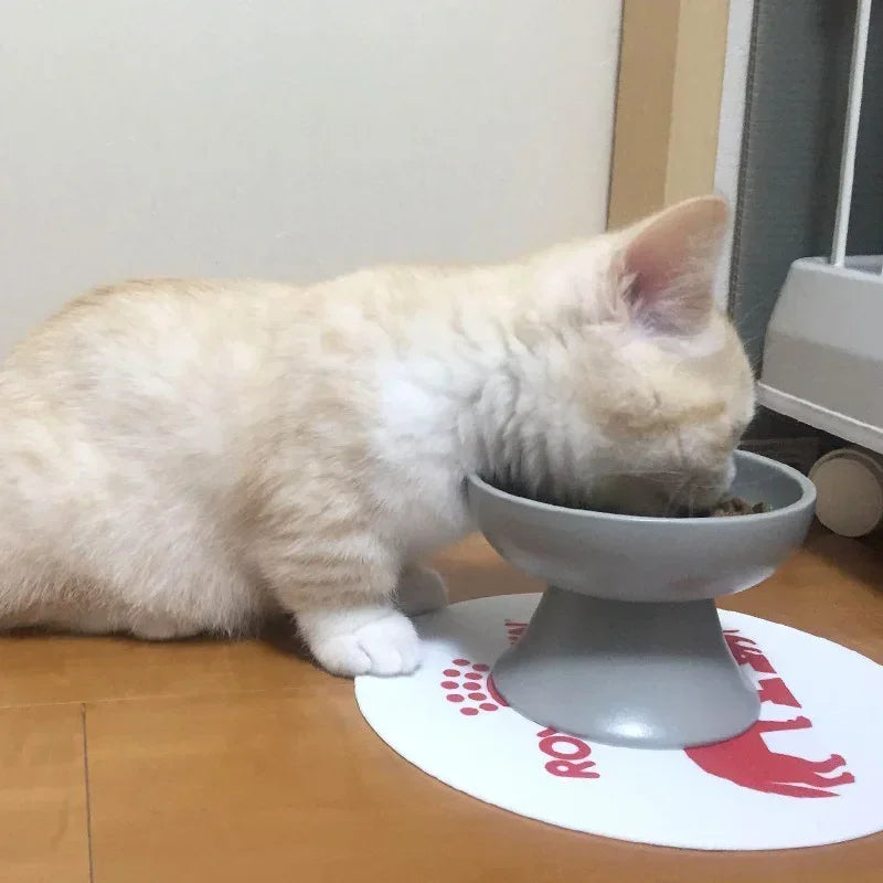 Anti Vomiting, Elevated Cat Food Bowls