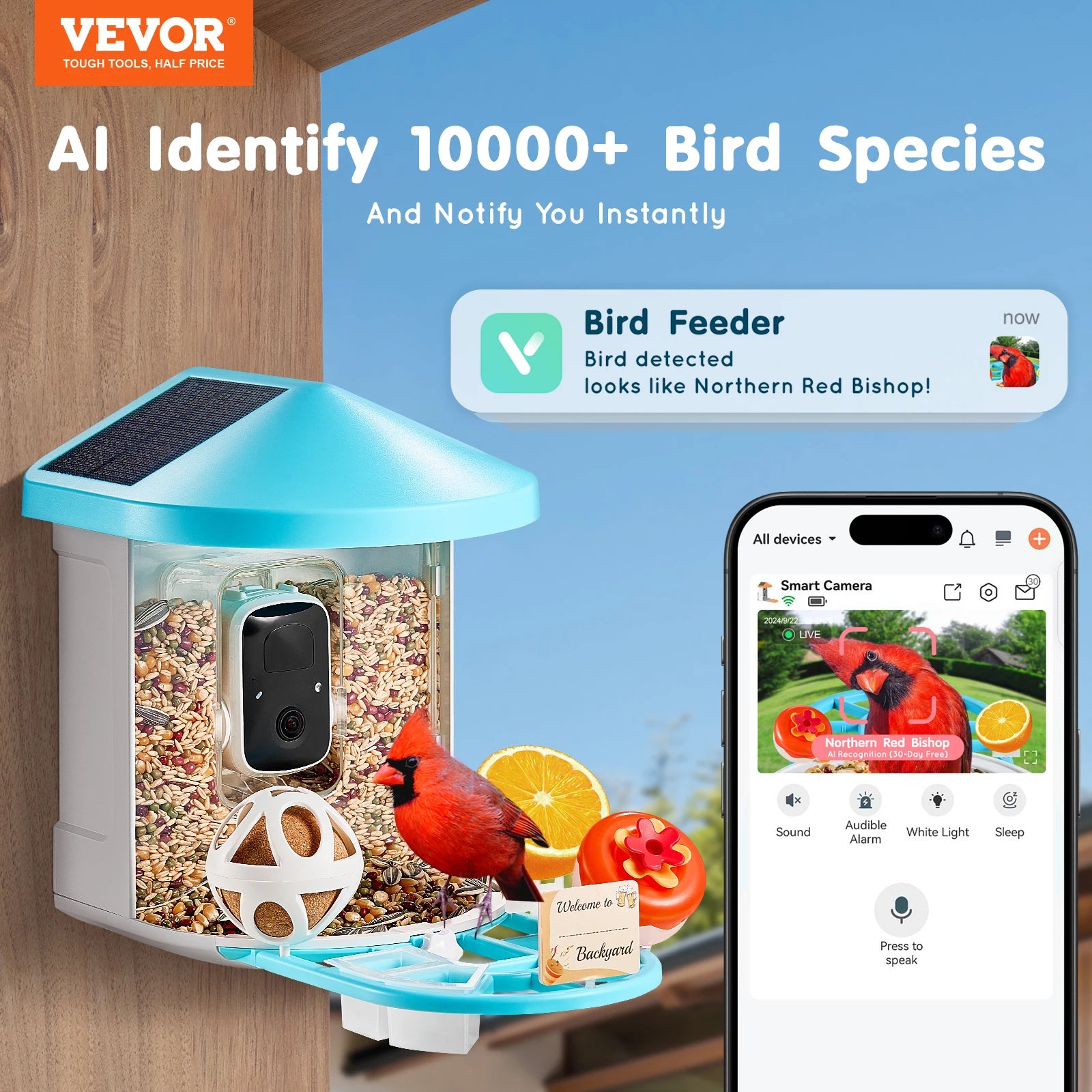 Smart Bird Feeder with Camera 2K HD AI Identify 10000+ Bird Species Solar-Powered Bird Watching Camera with Auto Capture