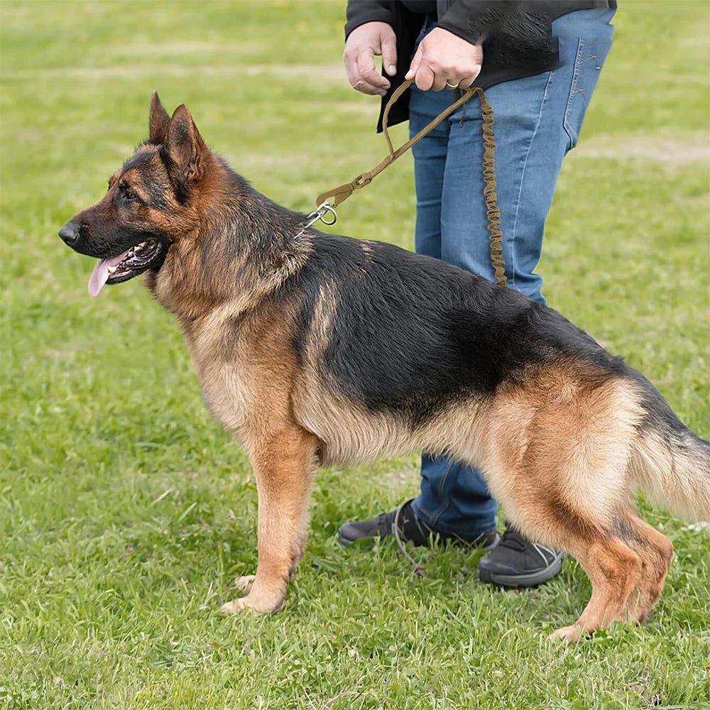 Military Dog Leashes Adjustable Leash Quick Release Elastic Rope With 2 Control Handle