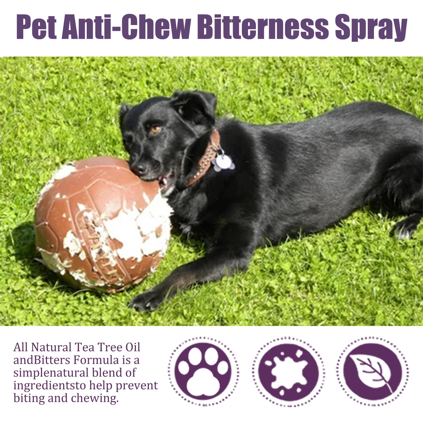 Pet No Chew Spray Bitterness Anti Gnawing Biting Stop Cat Scratching Furniture Behavior Modification Dog Chew Prevention Liquid