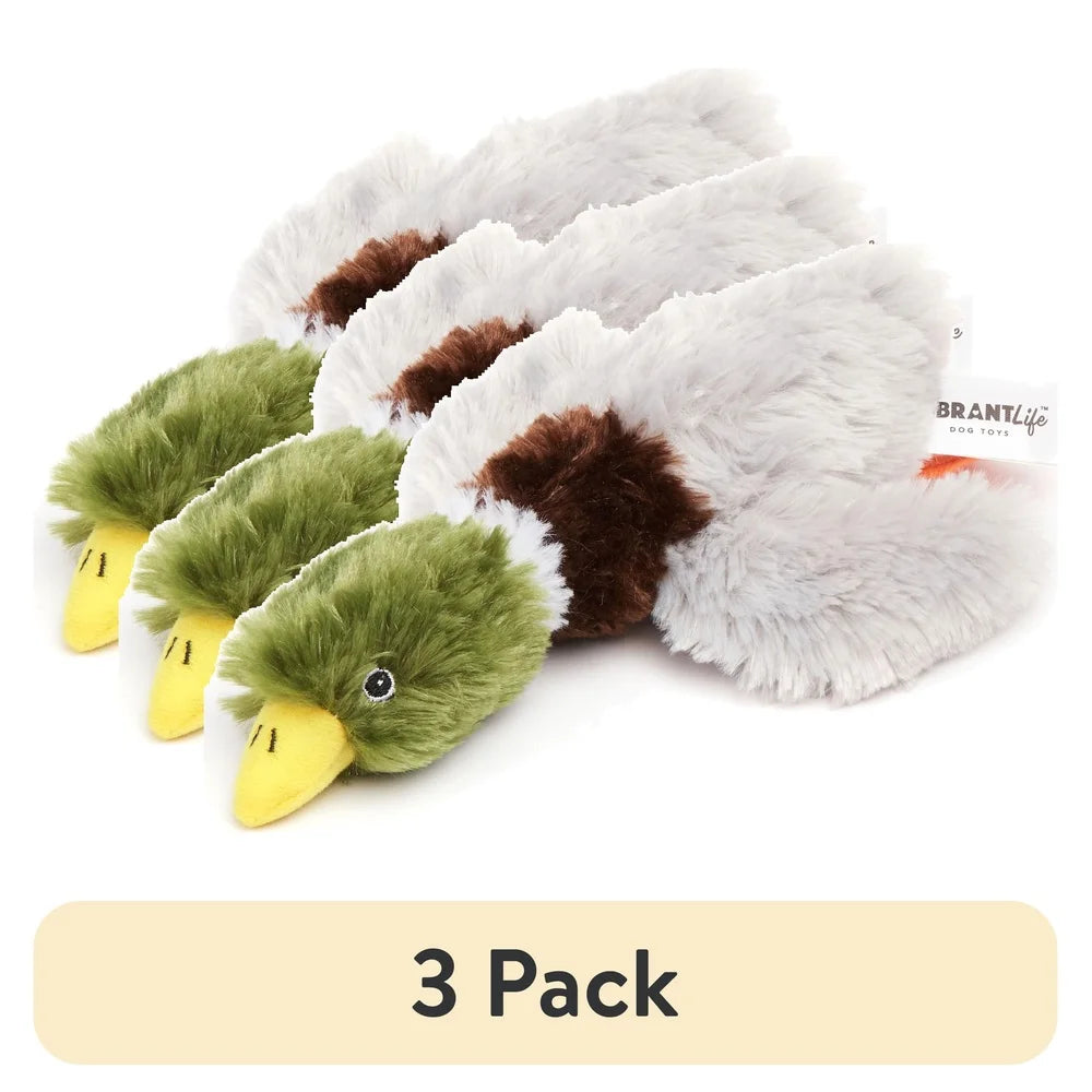 3 Pack Squeaky Mallard Duck Dog Toy