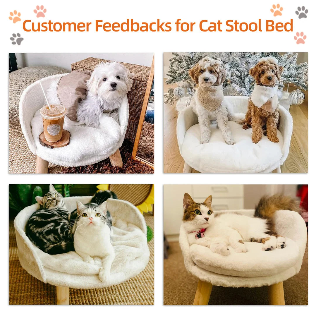 Luxury Cat Bed Soft Warm Plush Fabric Pet Nesting Chair Bed Stool Wood Legs with Cushion Pad Washable Waterproof