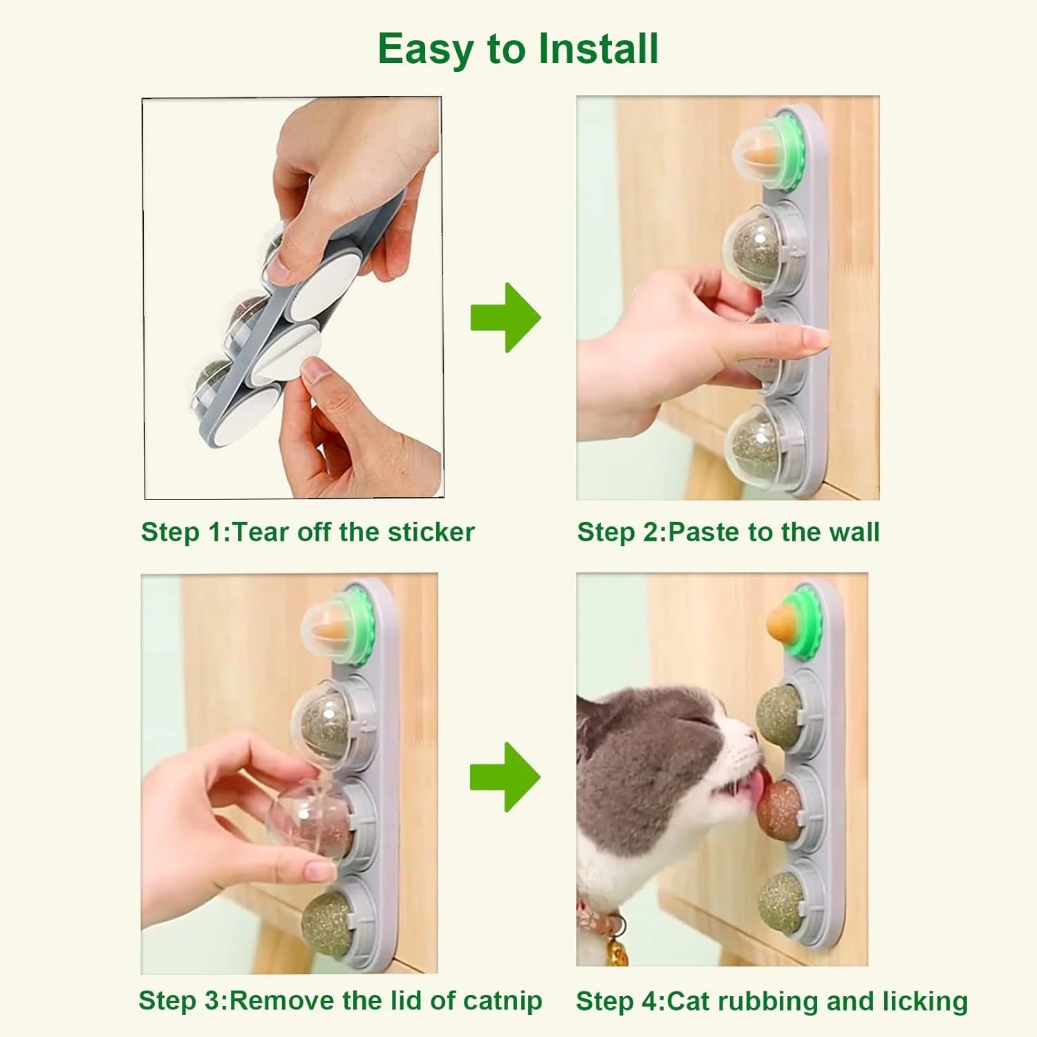 Catnip Wall Ball Toy for Kittens