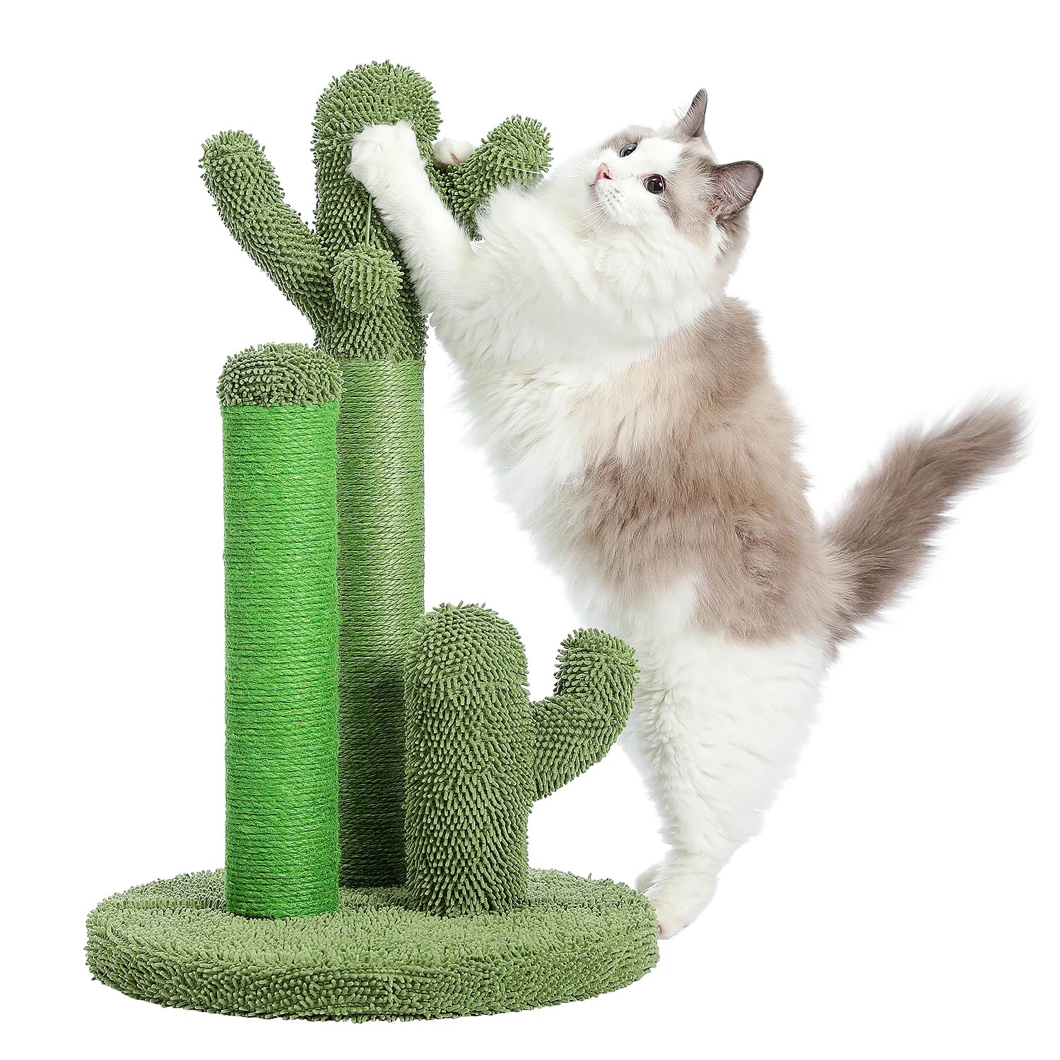 Cactus Cat Scratcher Post
