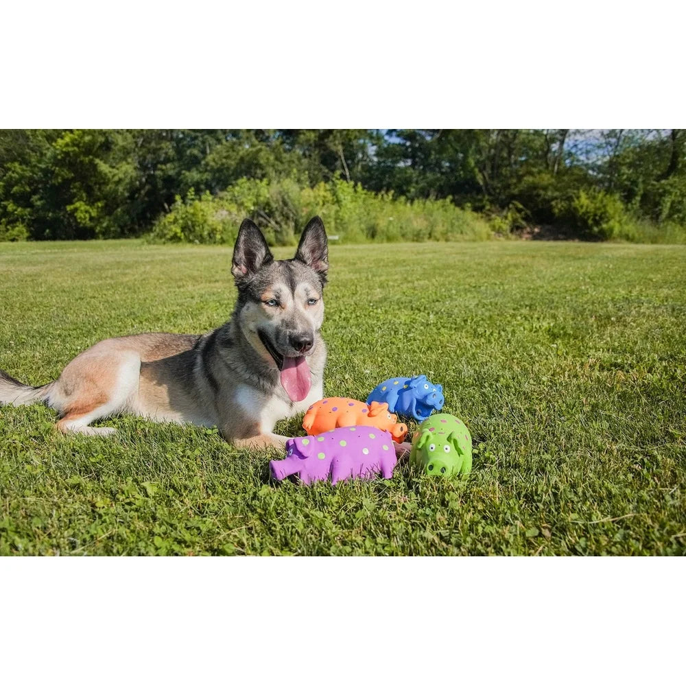 3 Pack Pig Shaped Latex Dog Toy Chew Level 1 Plush Fiber Filling Squeaker Grunting Sound Assorted Colors