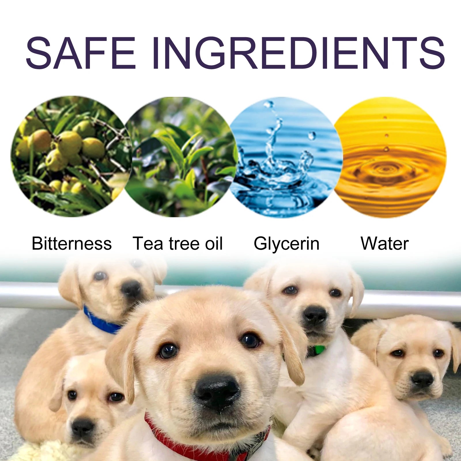 Pet No Chew Spray Bitterness Anti Gnawing Biting Stop Cat Scratching Furniture Behavior Modification Dog Chew Prevention Liquid