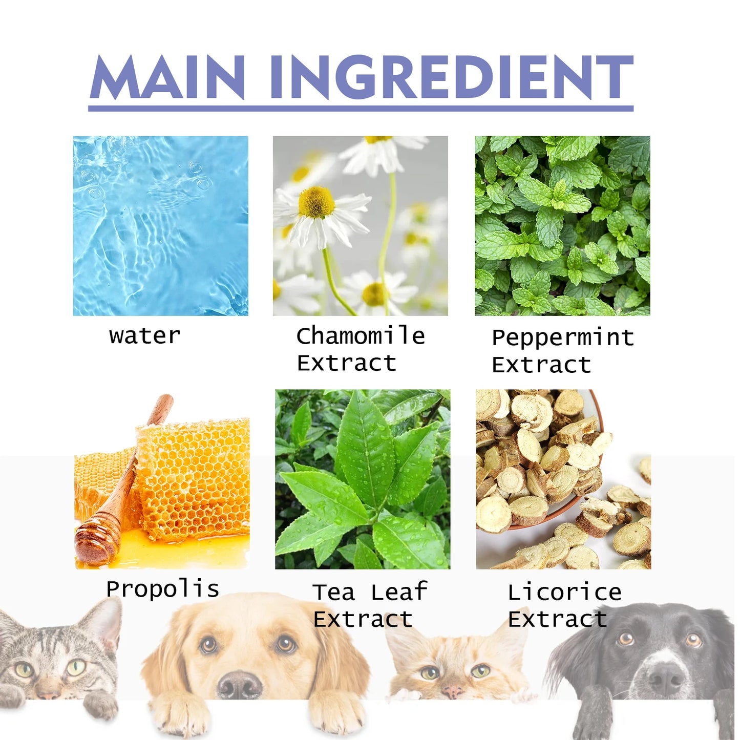 1-4PCS Yegbong Dog and Cat Teeth Cleaning Spray
