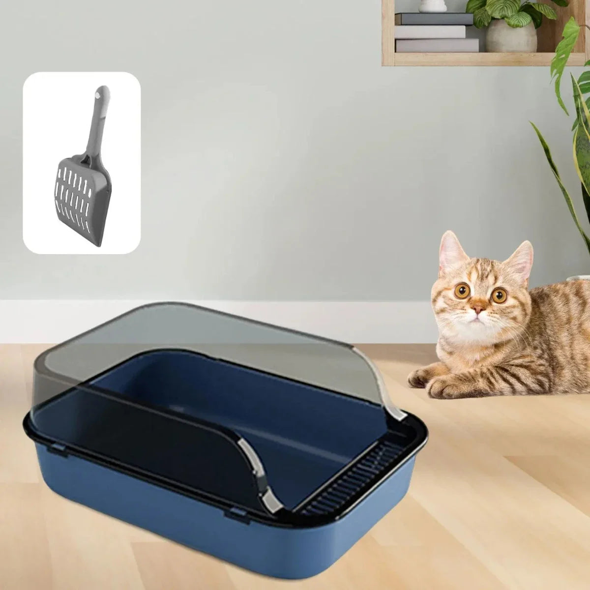 Open Top Cat Litter Box