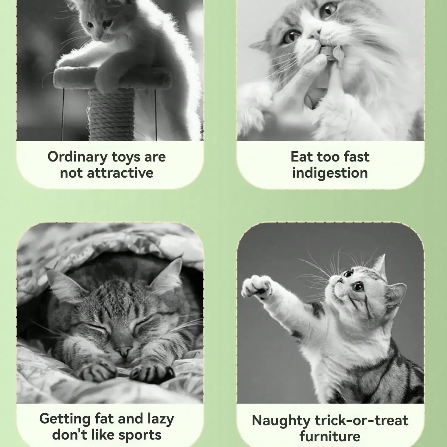 Toys Cat Snack Dispenser Interactive CatToys