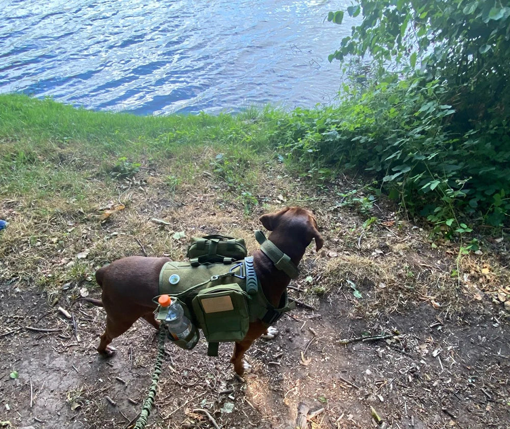 Military Large Dog Harness