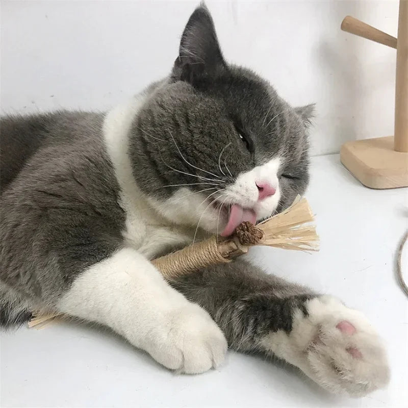 1/2/5/10PCS Pet Toy Natural Matatabi Pet Cat Snacks Stick Cleaning Tooth Catnip