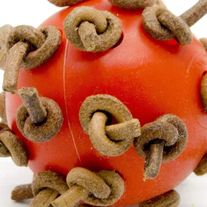 Bird Ball Chew Toy with Knots