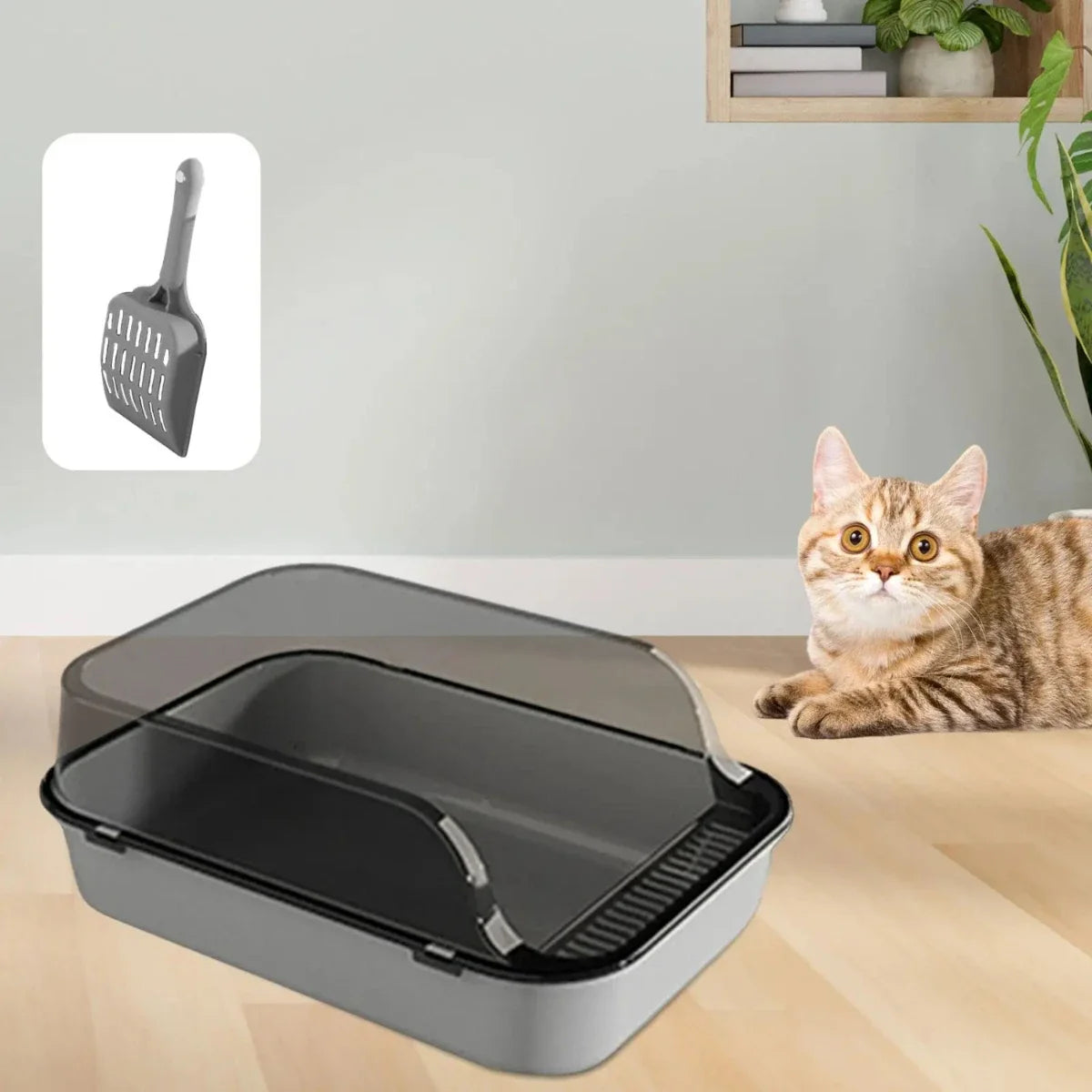 Open Top Cat Litter Box