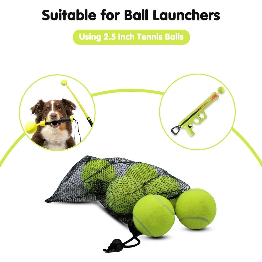 Dogs Toy Balls