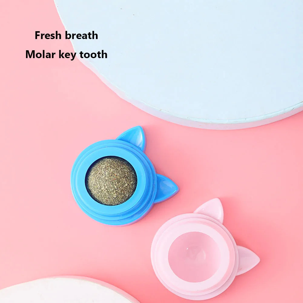 Pet Stuff Healthy Cat Catnip