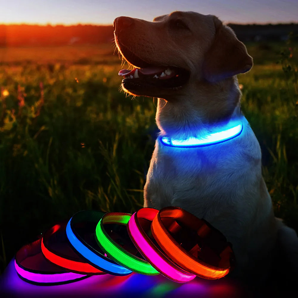 Dog Luminous Waterpoof Safety Collars