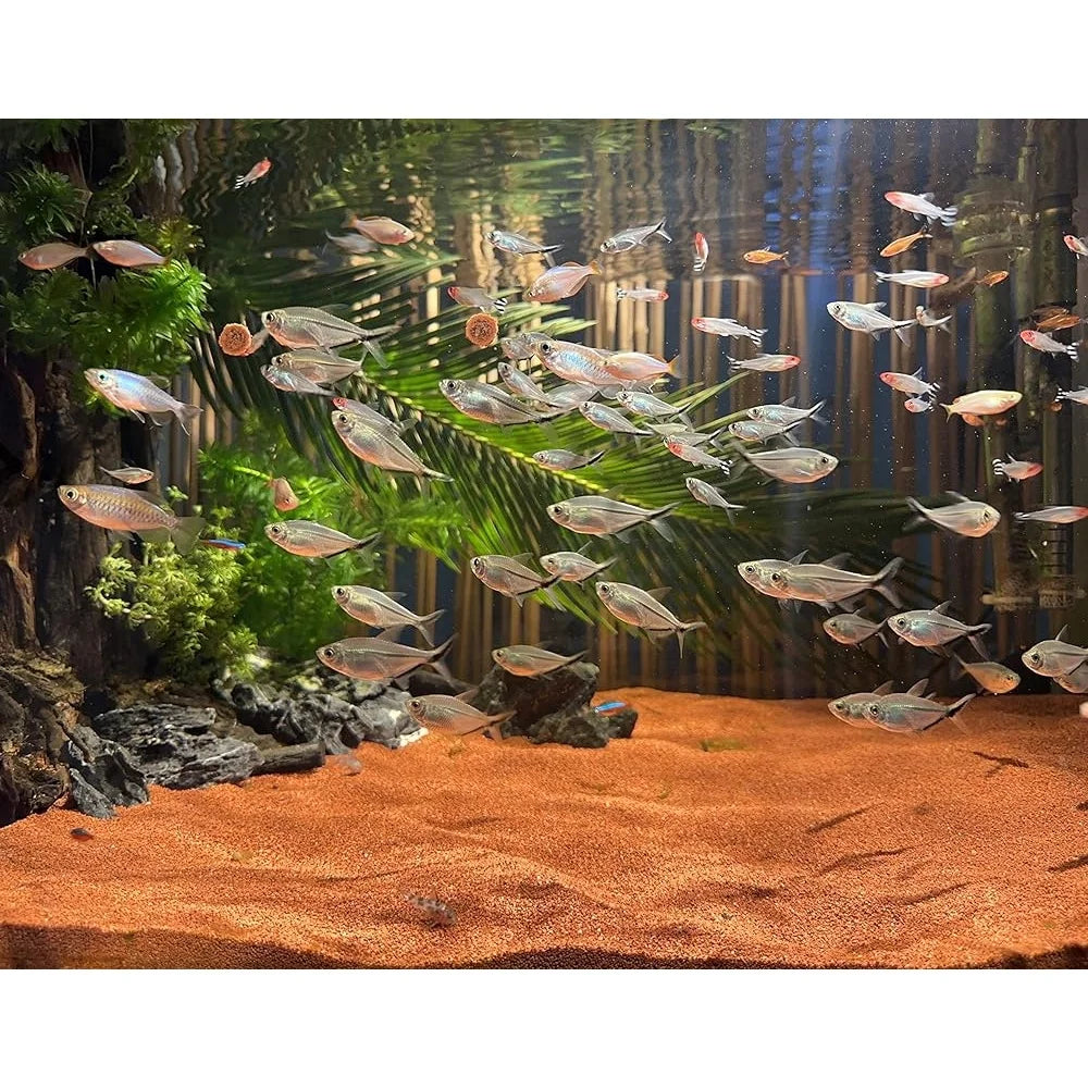 11lb Natural Red Sand Aquarium Substrate Coarse Lava Rock Soil