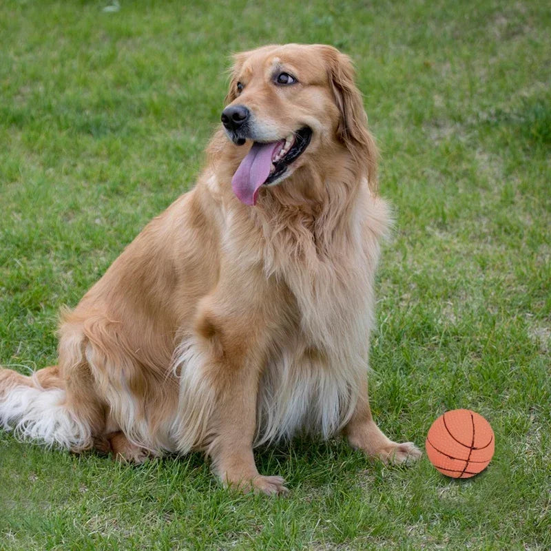 Rubber Dog Basketball