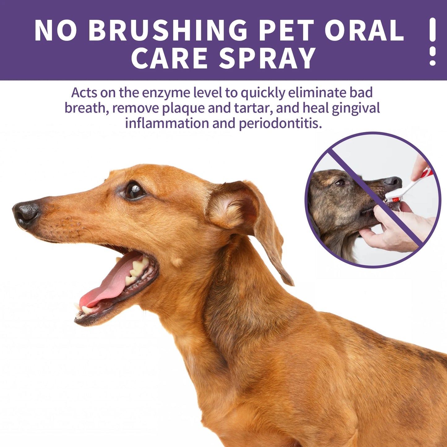 1-4PCS Yegbong Dog and Cat Teeth Cleaning Spray