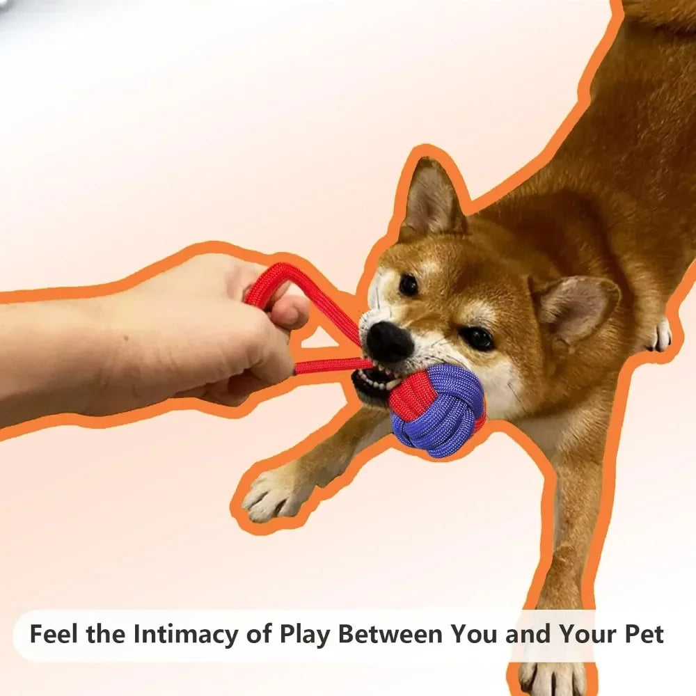 Rope Toys Small and Medium Dogs for Aggressive Chewers and Teeth Cleaning