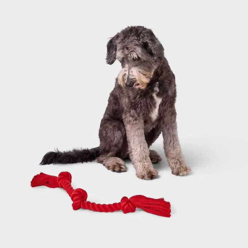 15 Inch Red Rope Dog Toy for Aggressive Chewers Tough Durable Tug of War