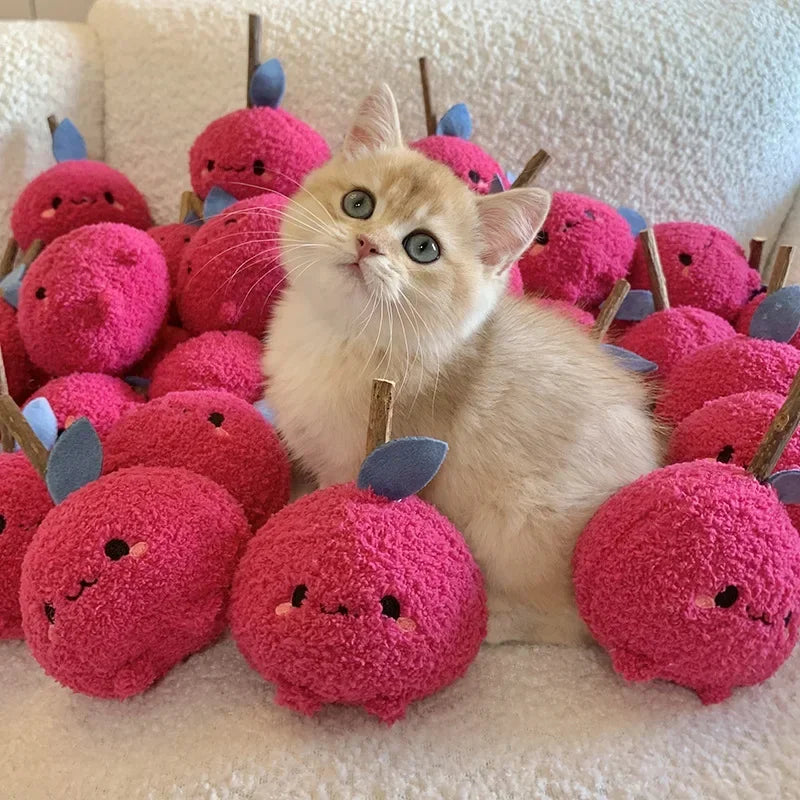 Plush Cat Toy