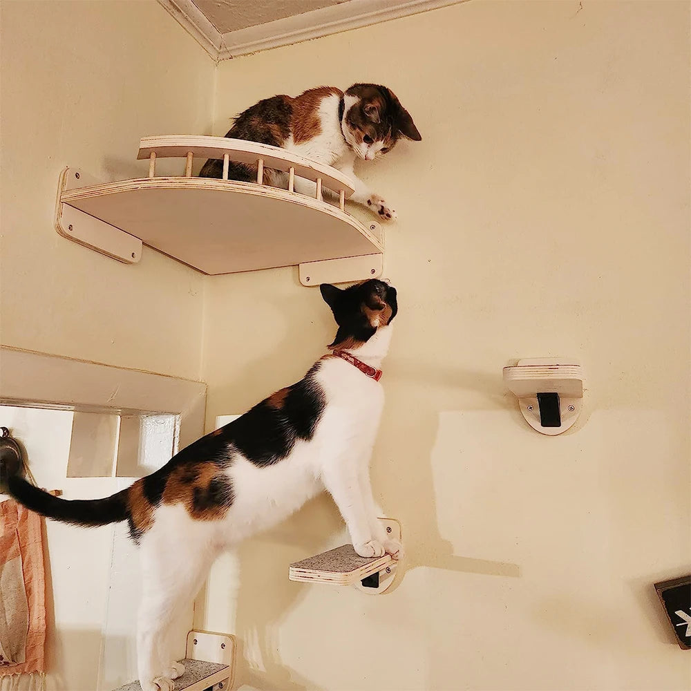 Cat Climbing Shelf Wall Four Step Stairway With Scratching Post