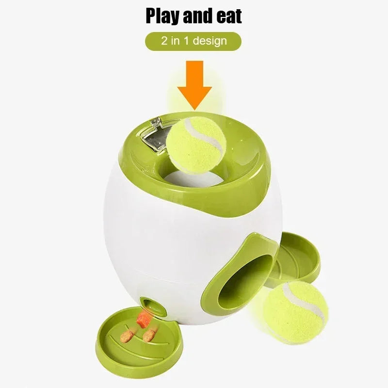 Interactive Ball Launcher