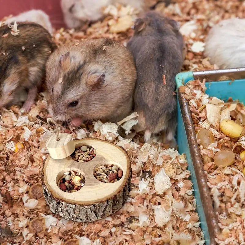 Hamster Foraging Toy – Wooden Treat Dispenser for Small Pet Enrichment