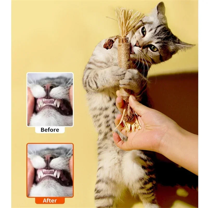 1/2/5/10PCS Pet Toy Natural Matatabi Pet Cat Snacks Stick Cleaning Tooth Catnip