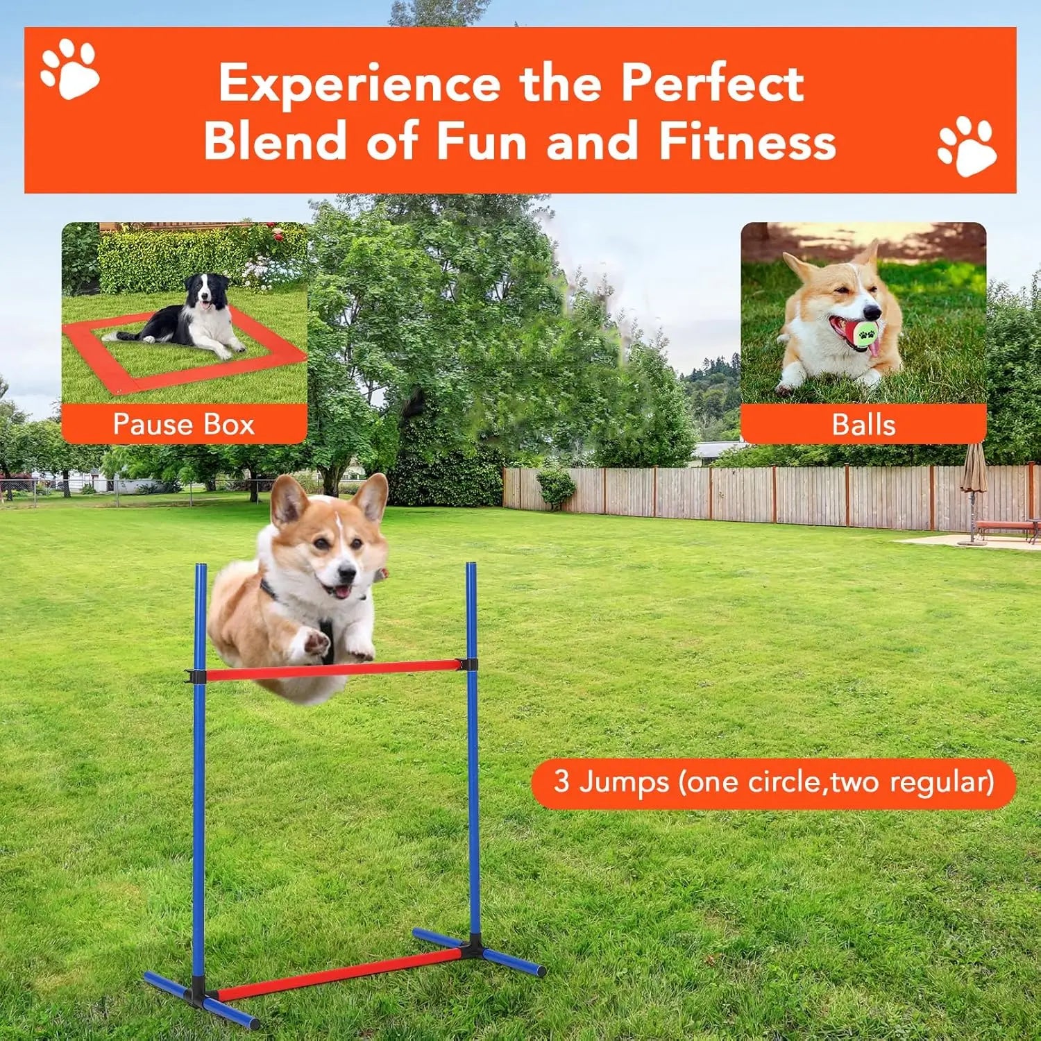 87 Pcs Dog Agile Training Equipment Set Obstacle Course Kit with 70" Tunnel Tire Jump Hurdle Jump Weave Poles