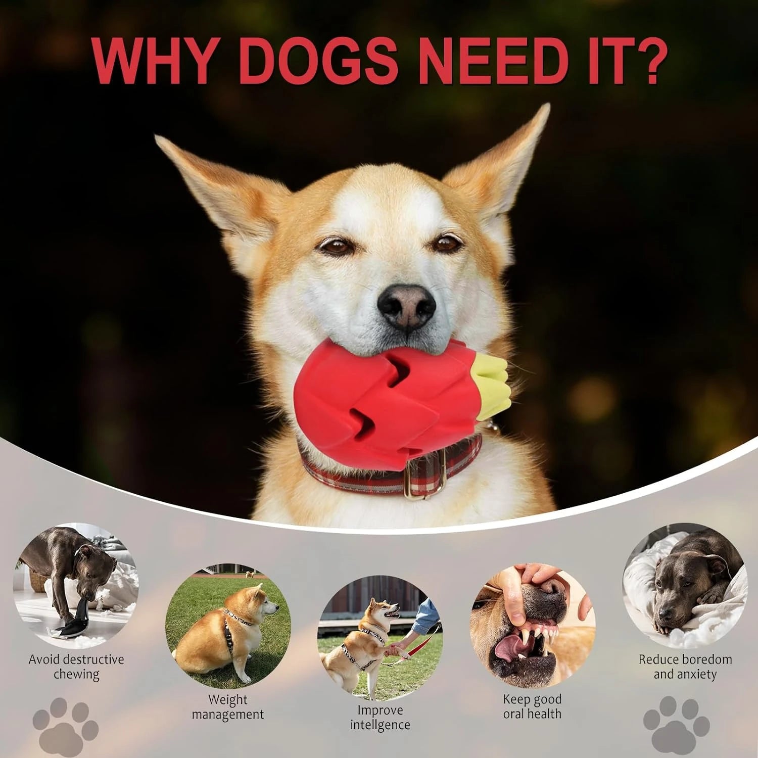 Colorful and durable dog chew toy for heavy chewers