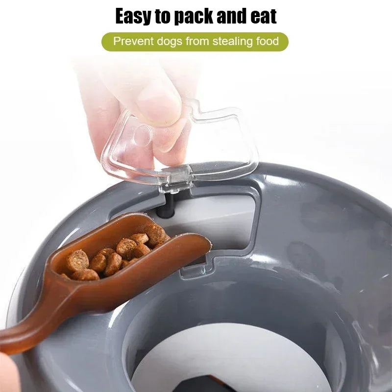 Interactive Ball Launcher